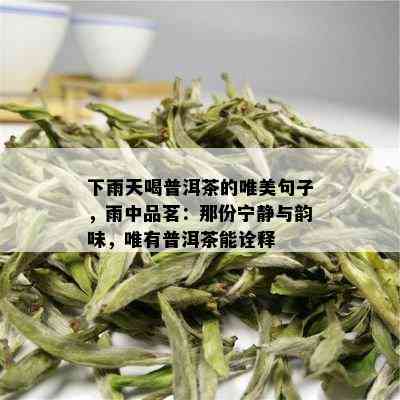 下雨天喝普洱茶的唯美句子，雨中品茗：那份宁静与韵味，唯有普洱茶能诠释