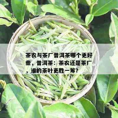 茶农与茶厂普洱茶哪个更好些，普洱茶：茶农还是茶厂，谁的茶叶更胜一筹？