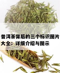 普洱茶背后的三个标识图片大全：详细介绍与图示