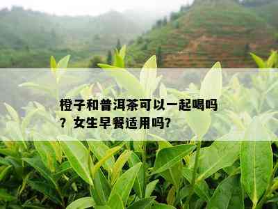 橙子和普洱茶可以一起喝吗？女生早餐适用吗？