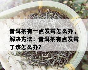 普洱茶有一点发霉怎么办，解决方法：普洱茶有点发霉了该怎么办？