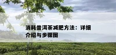 消耗普洱茶减肥方法：详细介绍与步骤图