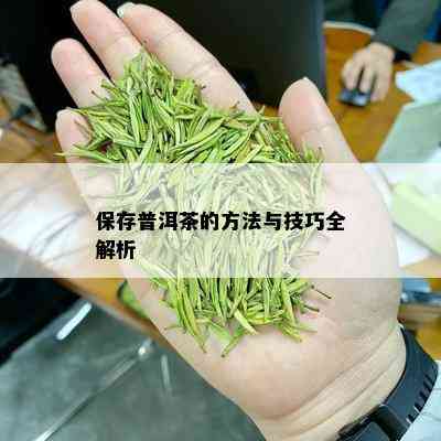 保存普洱茶的方法与技巧全解析