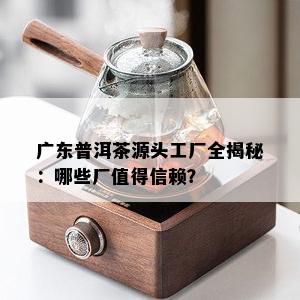 广东普洱茶源头工厂全揭秘：哪些厂值得信赖？