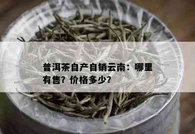 普洱茶自产自销云南：哪里有售？价格多少？