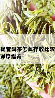 整提普洱茶怎么存放比较好？详尽指南