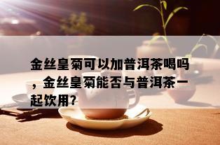 金丝皇菊可以加普洱茶喝吗，金丝皇菊能否与普洱茶一起饮用？