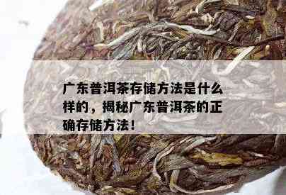 广东普洱茶存储方法是什么样的，揭秘广东普洱茶的正确存储方法！