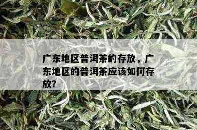 广东地区普洱茶的存放，广东地区的普洱茶应该如何存放？