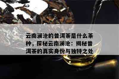 云南澜沧的普洱茶是什么茶种，探秘云南澜沧：揭秘普洱茶的真实身份与独特之处