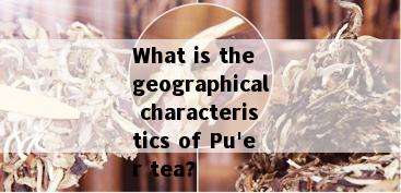 What is the geographical characteristics of Pu'er tea?