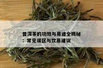 普洱茶的功效与用途全揭秘：常见误区与饮用建议