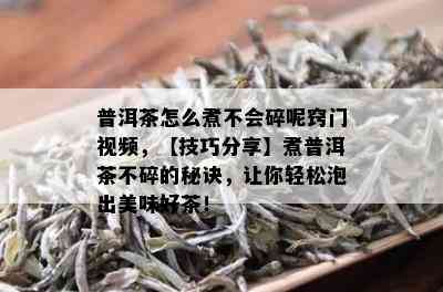 普洱茶怎么煮不会碎呢窍门视频，【技巧分享】煮普洱茶不碎的秘诀，让你轻松泡出美味好茶！