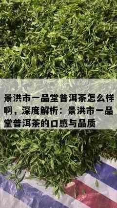 景洪市一品堂普洱茶怎么样啊，深度解析：景洪市一品堂普洱茶的口感与品质