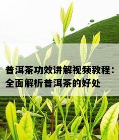 普洱茶功效讲解视频教程：全面解析普洱茶的好处