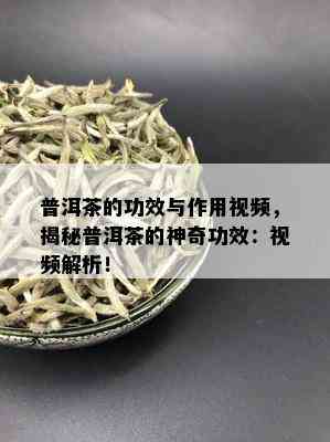 普洱茶的功效与作用视频，揭秘普洱茶的神奇功效：视频解析！