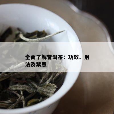 全面了解普洱茶：功效、用法及禁忌