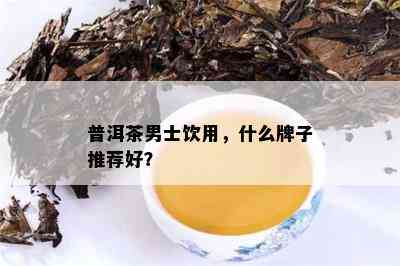 普洱茶男士饮用，什么牌子推荐好？