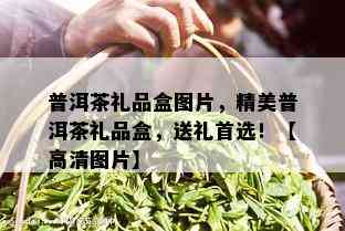 普洱茶礼品盒图片，精美普洱茶礼品盒，送礼首选！【高清图片】