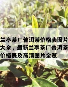 兰亭茶厂普洱茶价格表图片大全，最新兰亭茶厂普洱茶价格表及高清图片全览