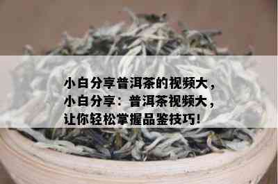 小白分享普洱茶的视频大，小白分享：普洱茶视频大，让你轻松掌握品鉴技巧！