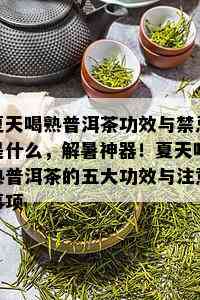 夏天喝熟普洱茶功效与禁忌是什么，解暑神器！夏天喝熟普洱茶的五大功效与注意事项