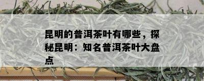 昆明的普洱茶叶有哪些，探秘昆明：知名普洱茶叶大盘点