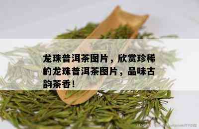 龙珠普洱茶图片，欣赏珍稀的龙珠普洱茶图片，品味古韵茶香！