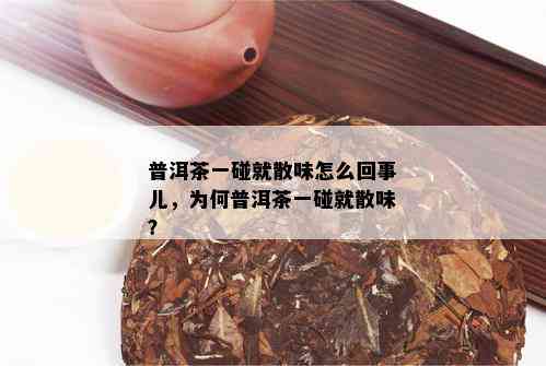 普洱茶一碰就散味怎么回事儿，为何普洱茶一碰就散味？