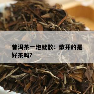 普洱茶一泡就散：散开的是好茶吗？