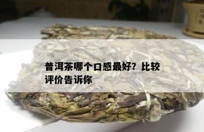 普洱茶哪个口感更好？比较评价告诉你