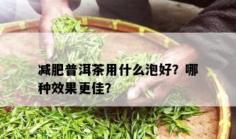 减肥普洱茶用什么泡好？哪种效果更佳？