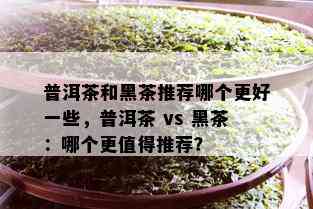 普洱茶和黑茶推荐哪个更好一些，普洱茶 vs 黑茶：哪个更值得推荐？