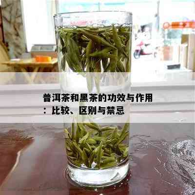 普洱茶和黑茶的功效与作用：比较、区别与禁忌