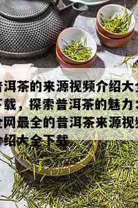 普洱茶的来源视频介绍大全下载，探索普洱茶的魅力：全网最全的普洱茶来源视频介绍大全下载