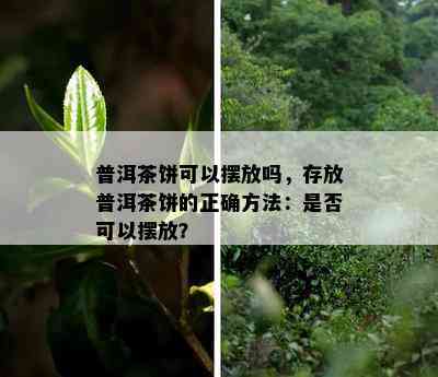 普洱茶饼可以摆放吗，存放普洱茶饼的正确方法：是否可以摆放？