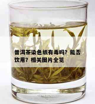 普洱茶染色纸有吗？能否饮用？相关图片全览