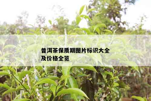 普洱茶保质期图片标识大全及价格全览