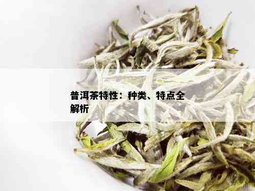 普洱茶特性：种类、特点全解析