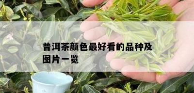 普洱茶颜色更好看的品种及图片一览