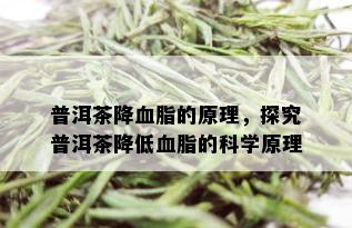 普洱茶降血脂的原理，探究普洱茶降低血脂的科学原理