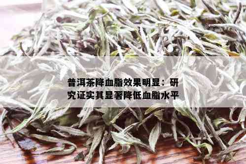 普洱茶降血脂效果明显：研究证实其显著降低血脂水平