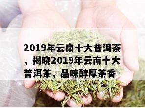 2019年云南十大普洱茶，揭晓2019年云南十大普洱茶，品味醇厚茶香