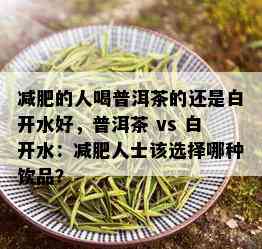 减肥的人喝普洱茶的还是白开水好，普洱茶 vs 白开水：减肥人士该选择哪种饮品？