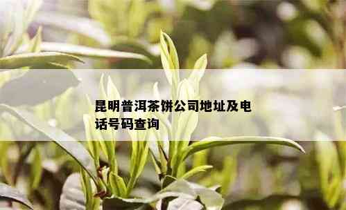 昆明普洱茶饼公司地址及电话号码查询