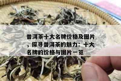 普洱茶十大名牌价格及图片，探寻普洱茶的魅力：十大名牌的价格与图片一览