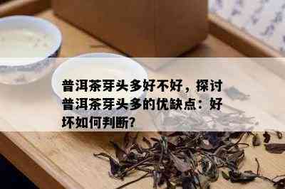 普洱茶芽头多好不好，探讨普洱茶芽头多的优缺点：好坏如何判断？