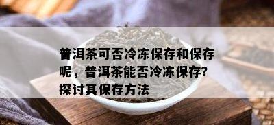 普洱茶可否冷冻保存和保存呢，普洱茶能否冷冻保存？探讨其保存方法