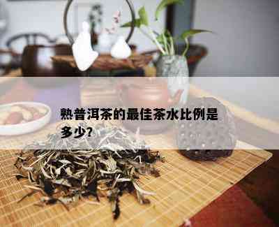 熟普洱茶的更佳茶水比例是多少？