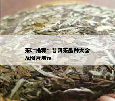 茶叶推荐：普洱茶品种大全及图片展示